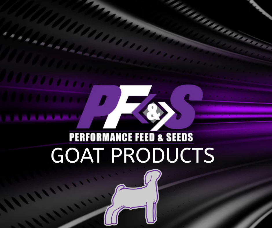 Goats