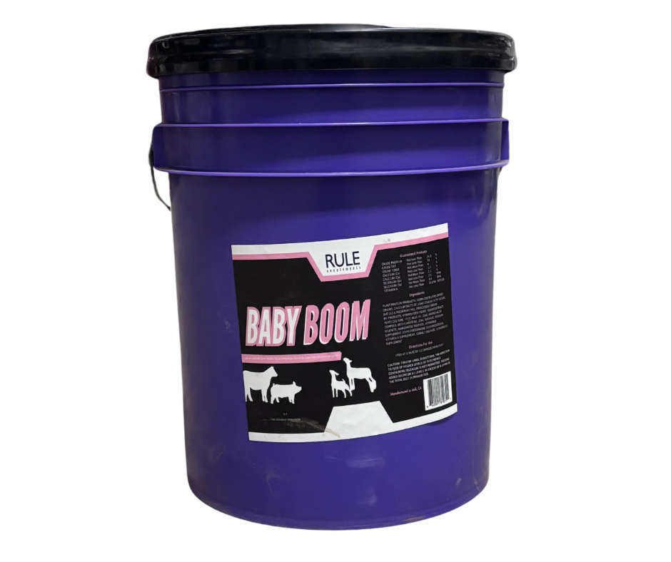 Baby Boom