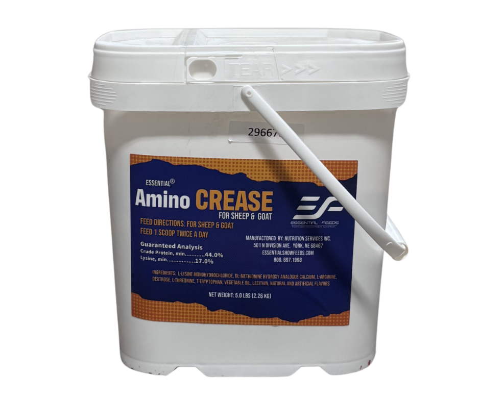 Amino Crease