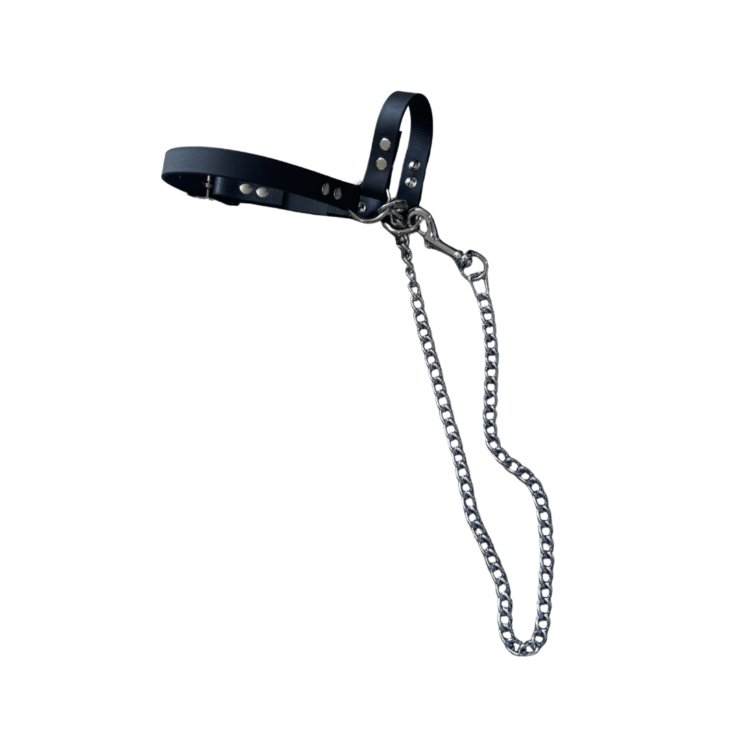 Goat Halter with Chain Lead