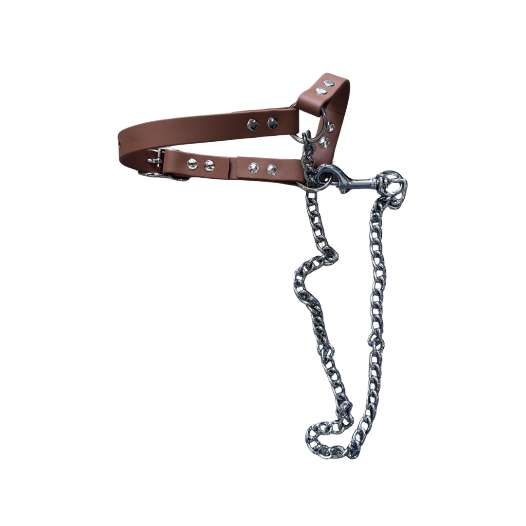 Goat Halter with Chain Lead