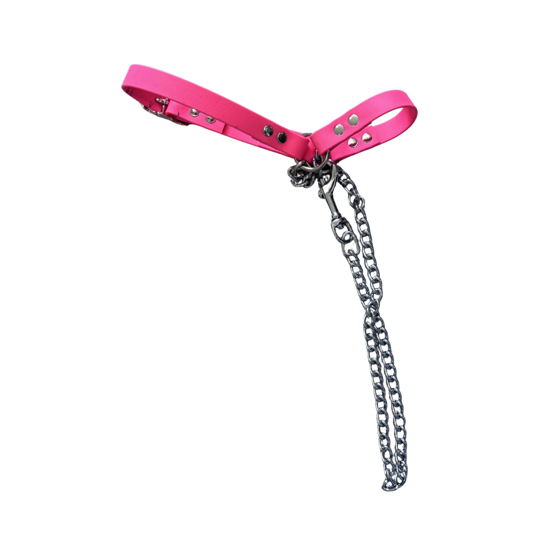 Goat Halter with Chain Lead