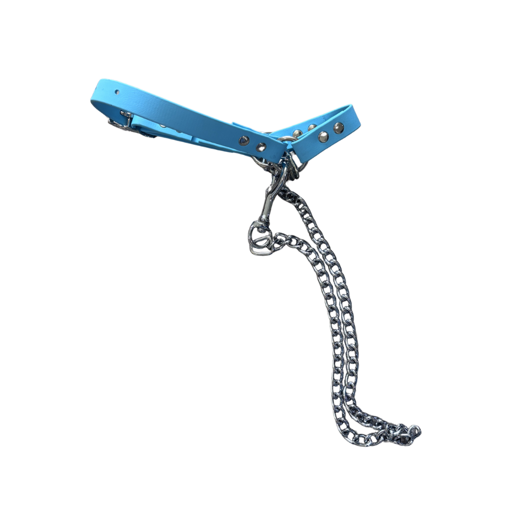 Goat Halter with Chain Lead