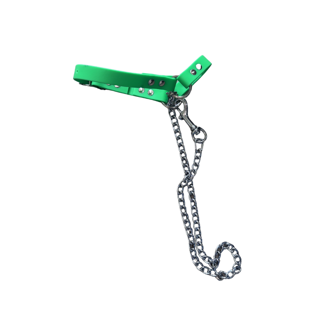 Goat Halter with Chain Lead
