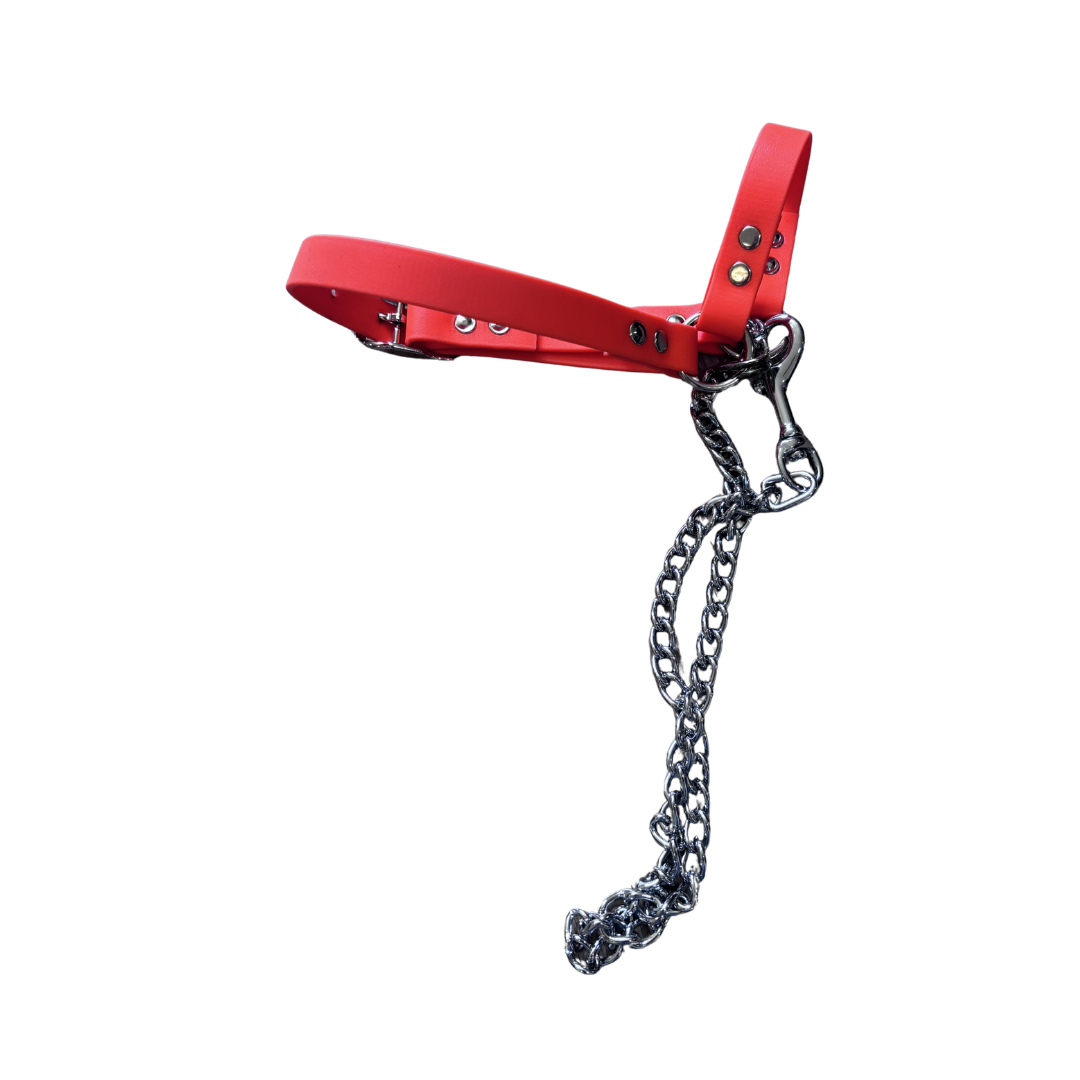 Goat Halter with Chain Lead
