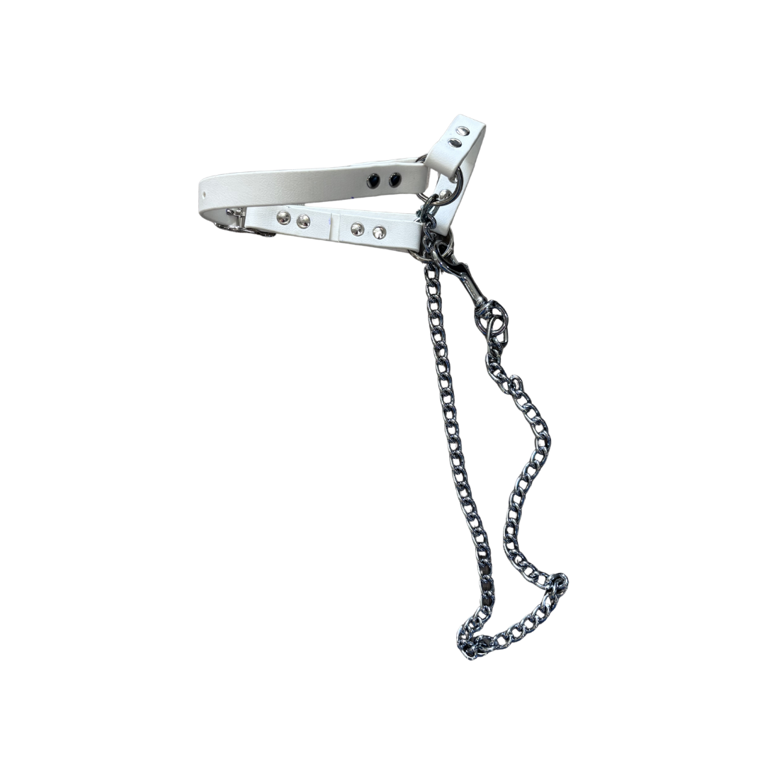 Goat Halter with Chain Lead