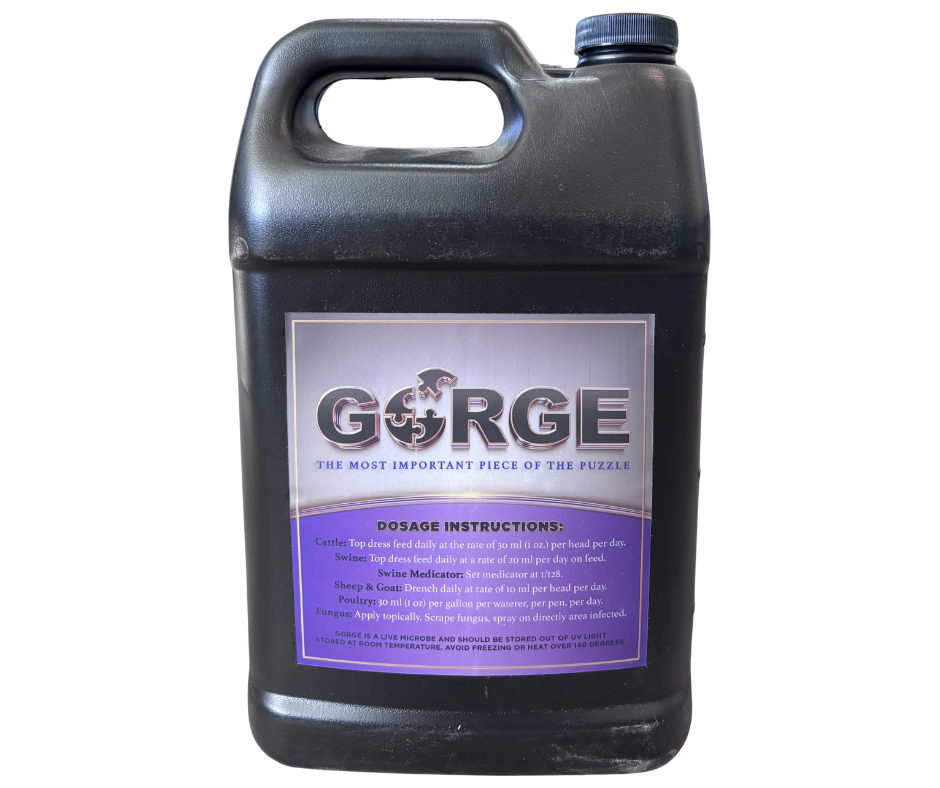 Gorge
