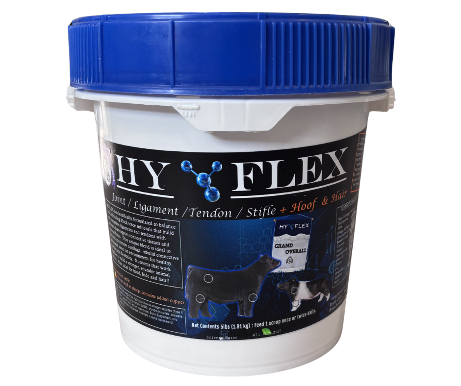 HyFlex