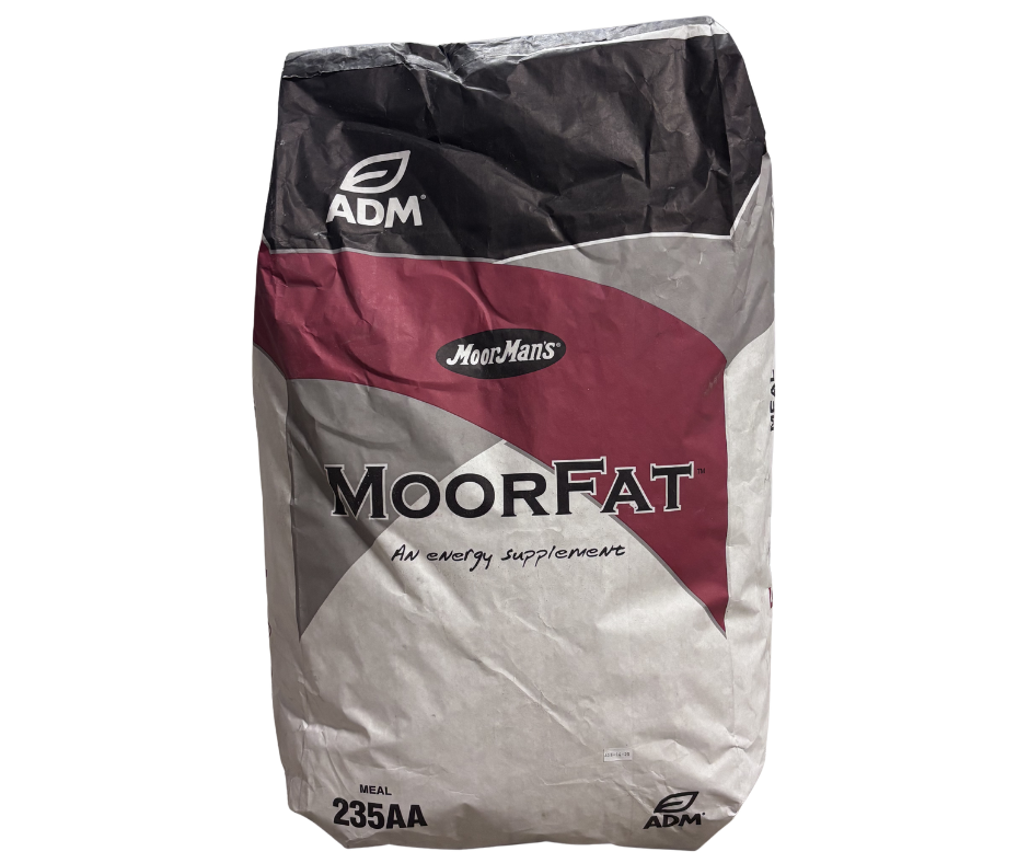 MoorFat