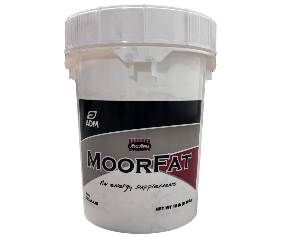 MoorFat