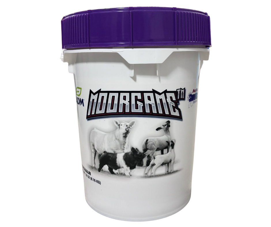 MoorGame