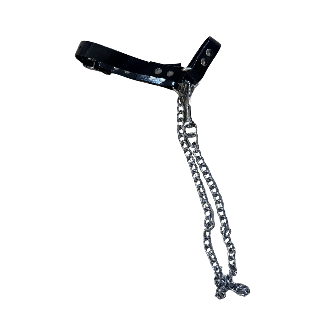 Sheep Halter with Chain Lead