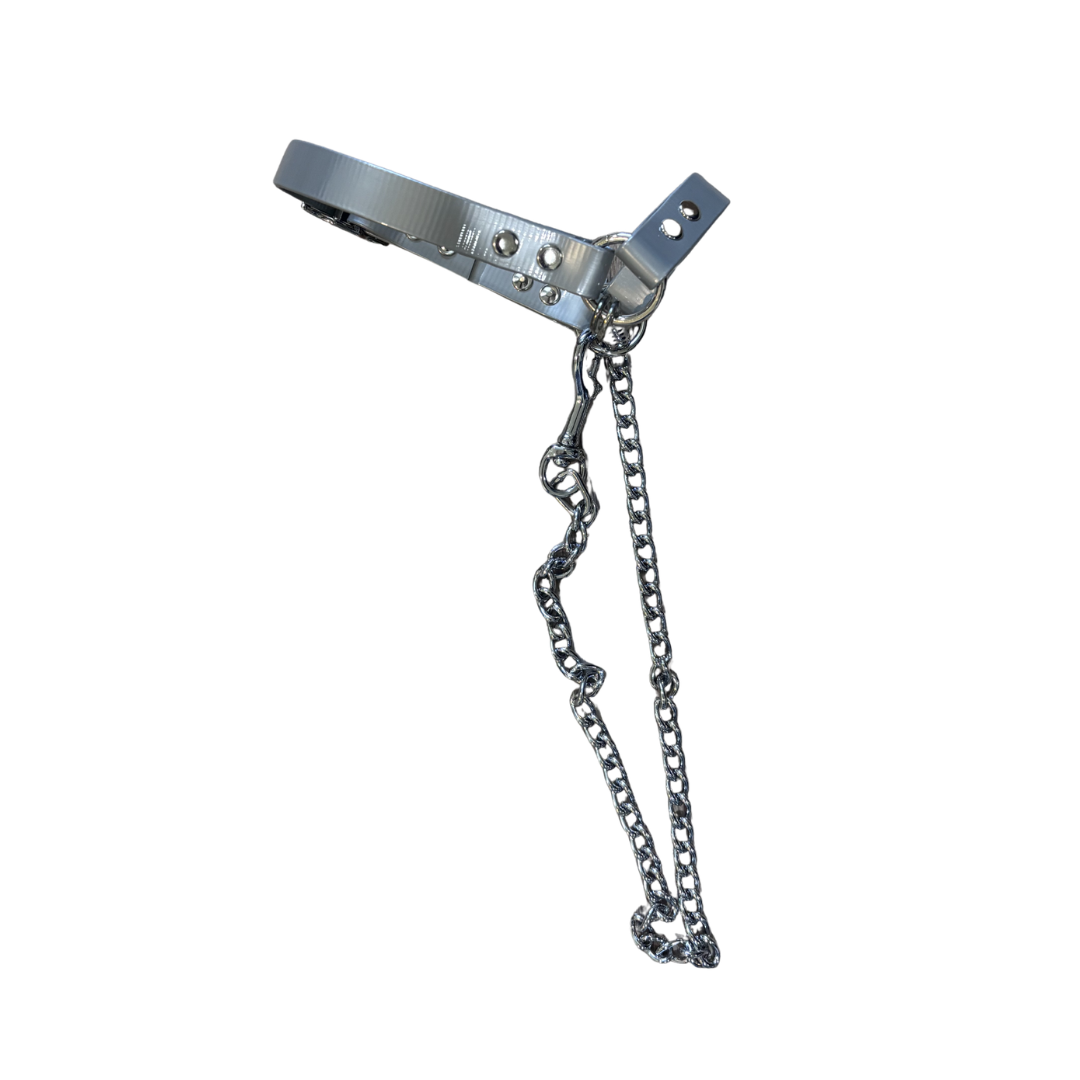 Sheep Halter with Chain Lead