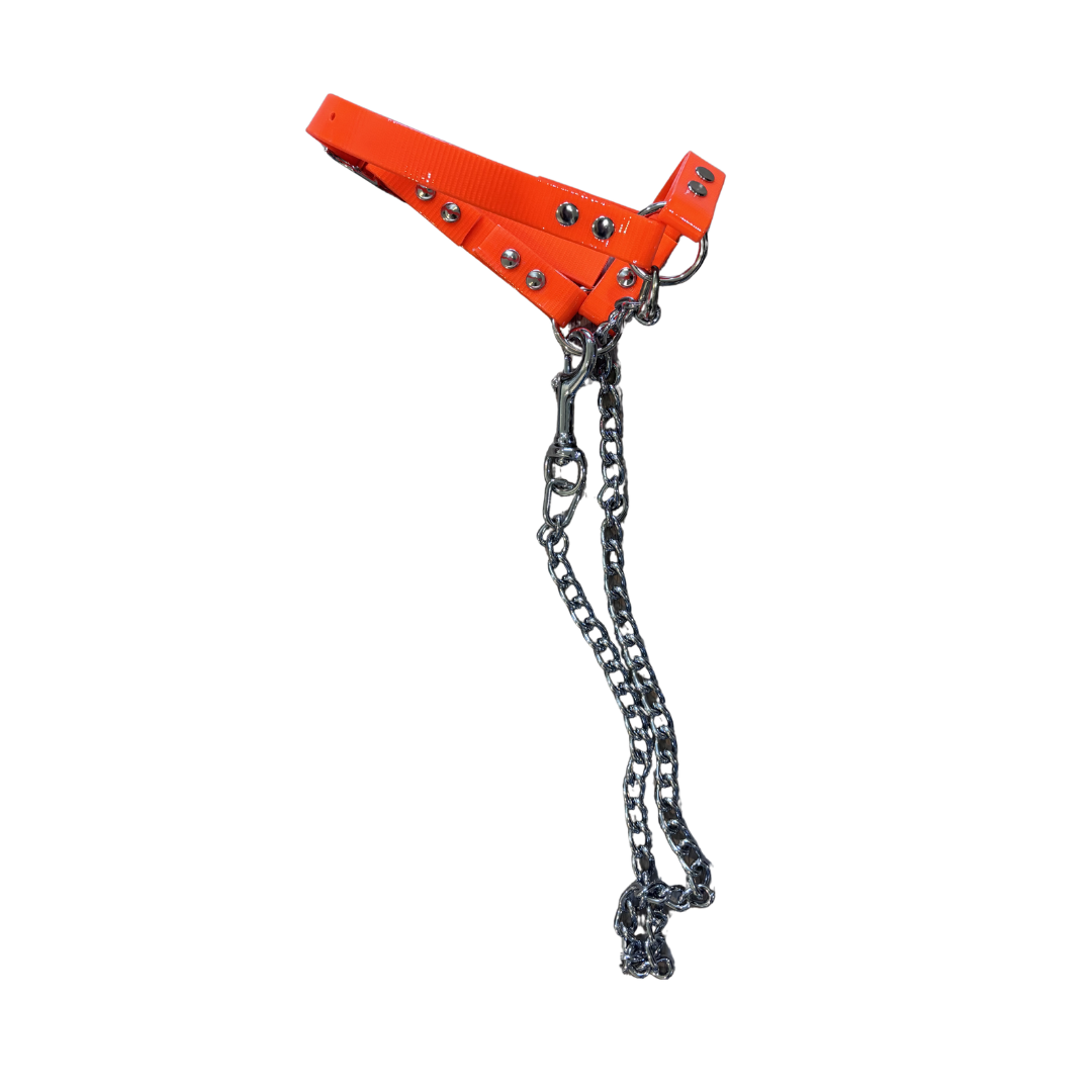 Sheep Halter with Chain Lead