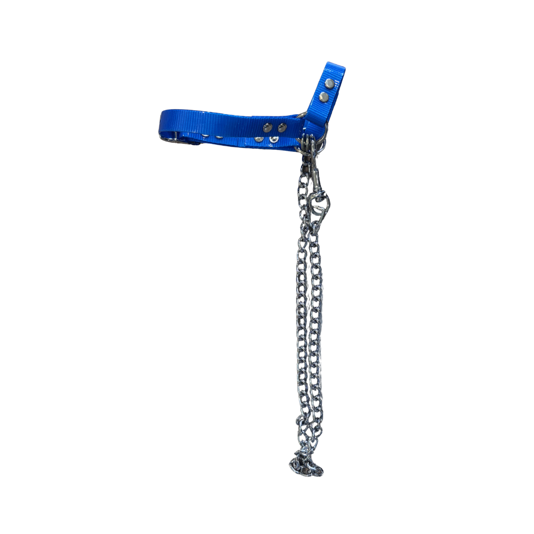 Sheep Halter with Chain Lead