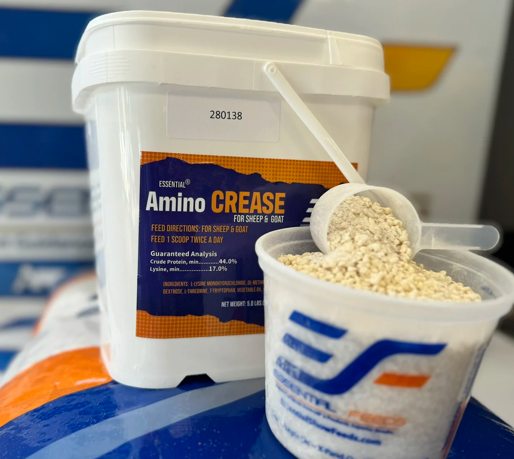 Amino Crease