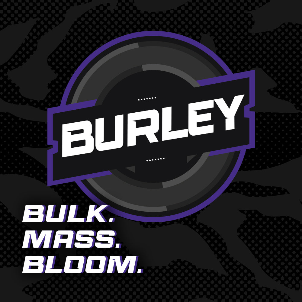 Burley