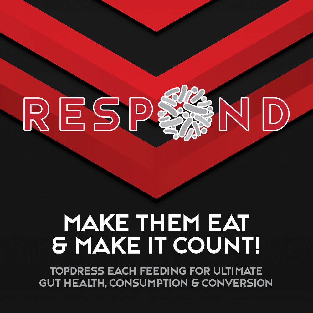 Respond